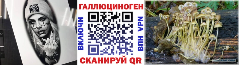 что такое наркотик Малаховка Галлюциногенные грибы ЛСД